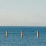 Wooden posts in the ocean